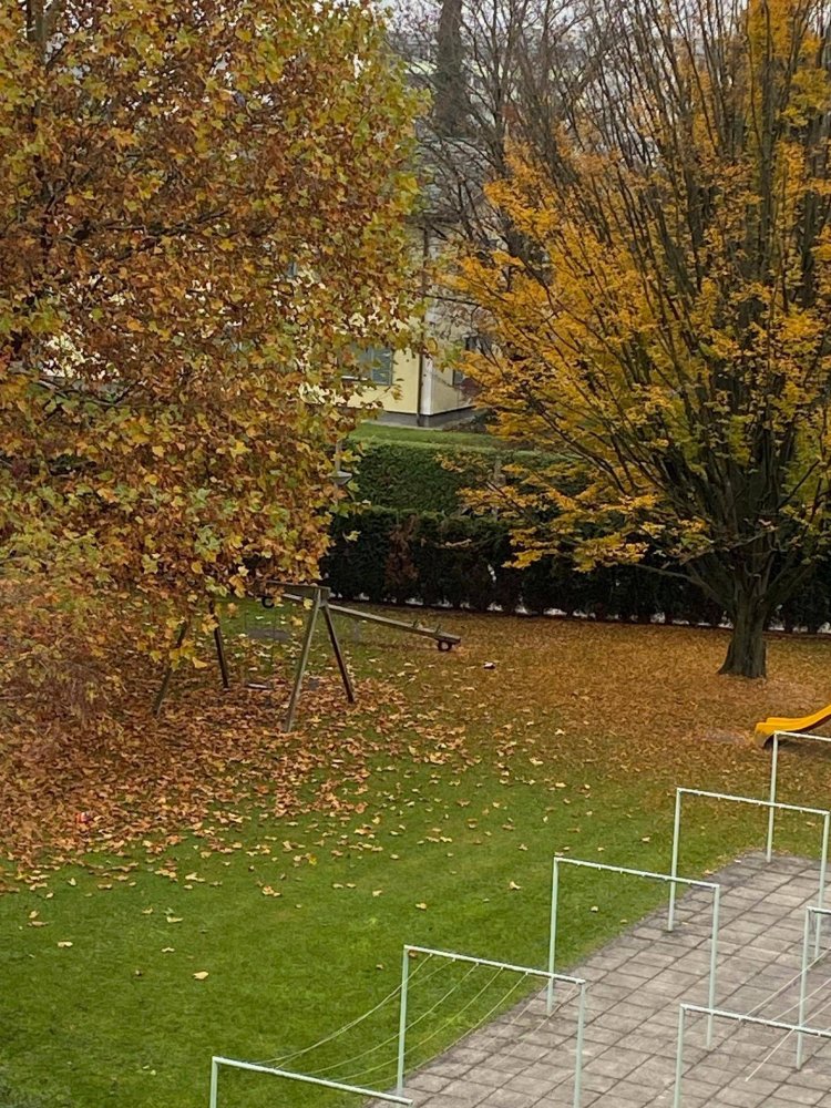 2 غرف نوم شقة في Leonding, Austria رقم 220844