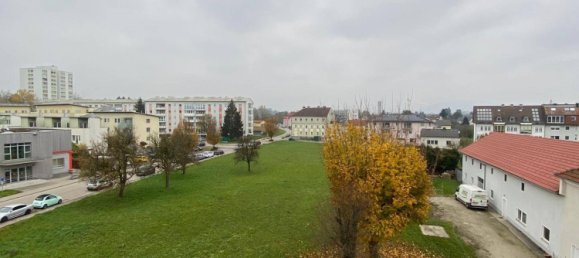 2 غرف نوم شقة في Leonding, Austria رقم 220844 49