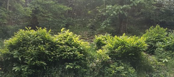 3 bedrooms House in Sambuca Pistoiese, Italy No. 326832 27