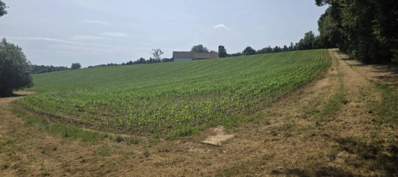 2غرفة منزل في Sudoststeiermark, Austria رقم 197024 13