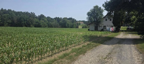 2غرفة منزل في Sudoststeiermark, Austria رقم 197024 5