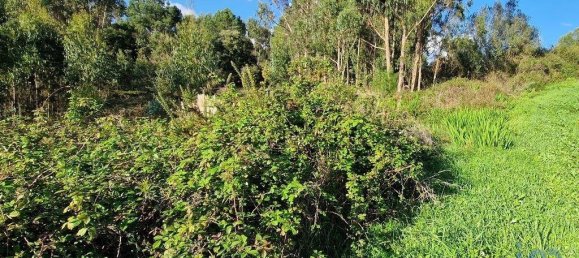 9999m² Land in Mafra, Portugal No. 126792 2