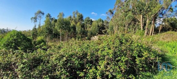 9999m² Land in Mafra, Portugal No. 126792 15