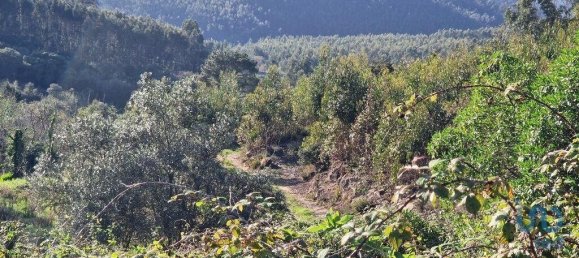 9999m² Land in Mafra, Portugal No. 126792 4