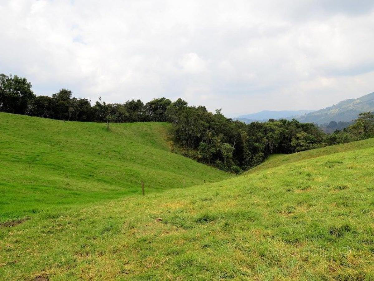 Земельный участок в Антьокия, Колумбия № 690