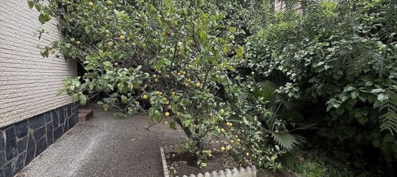 4 Schlafzimmer Haus in Elda, Spain, Nr. 148835 11