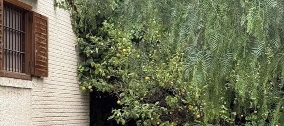 4 Schlafzimmer Haus in Elda, Spain, Nr. 148835 12