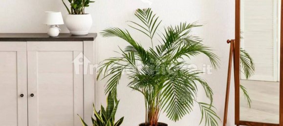 Квартира с 1 спальней в Трентино Альто Адидже, Италия № 153076 14