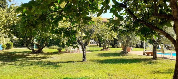 Villa de 19 dormitorios en Vecchiano, Italy No. 331677 37