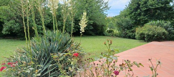 Дом с 5 комнатами в Оберварт, Австрия № 142287 10