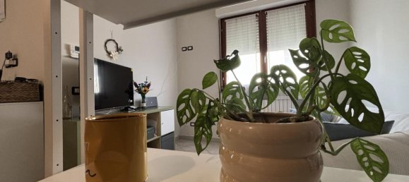 Studio in Colorno, Italy No. 236031 9