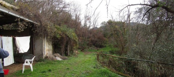 11 rooms Villa in Massarosa, Italy No. 230868 4