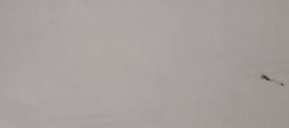 7 rooms House in Beverino, Italy No. 169149 26