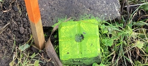 761m² Land in Dithmarschen, Germany No. 34037 2