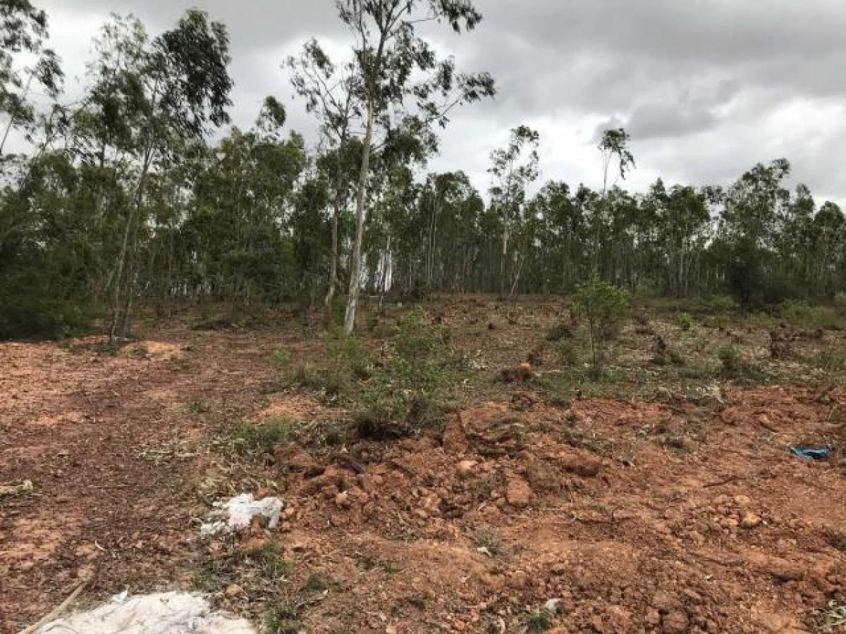 Terreno em Bangalore, India N.º 40100