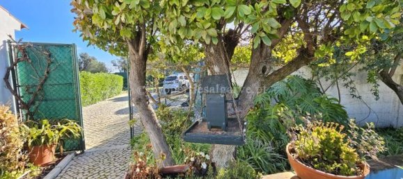 4 غرف نوم منزل في Sao Bras de Alportel, Portugal رقم 124952 19