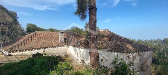 2 bedrooms House in Tenerife, Spain No. 121708 12