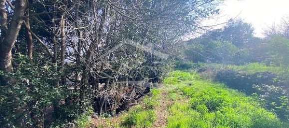 2 bedrooms House in Tenerife, Spain No. 121708 11