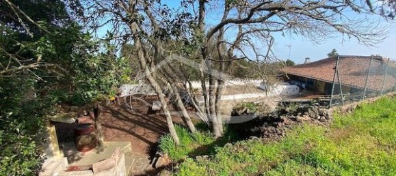 2 bedrooms House in Tenerife, Spain No. 121708 13