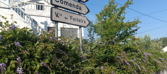 3 Schlafzimmer Haus in Comenda, Portugal, Nr. 30234 44