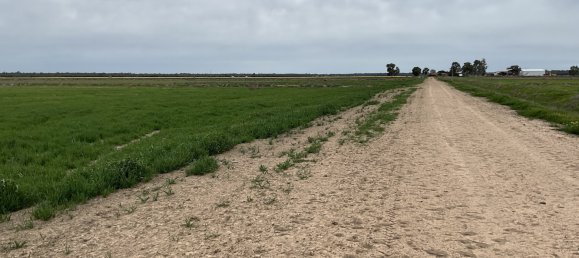 Haus in Whitton, Australia, Nr. 240 11