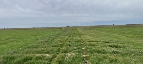 Haus in Whitton, Australia, Nr. 240 9