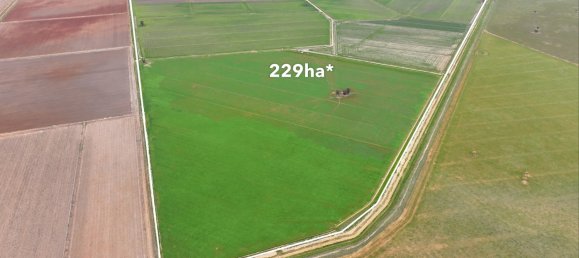 Haus in Whitton, Australia, Nr. 240 4