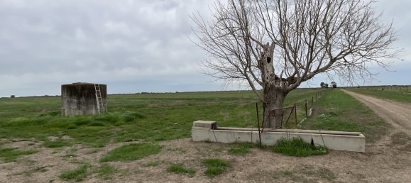 Haus in Whitton, Australia, Nr. 240 14