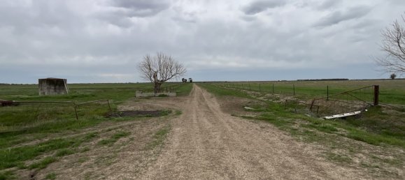 Haus in Whitton, Australia, Nr. 240 13