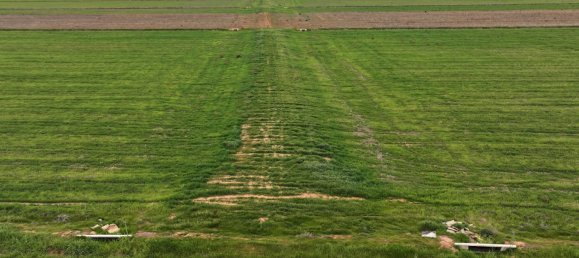 Haus in Whitton, Australia, Nr. 240 5