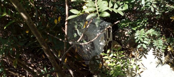 Grundstück in Loule, Portugal 259m², Nr. 41069 5