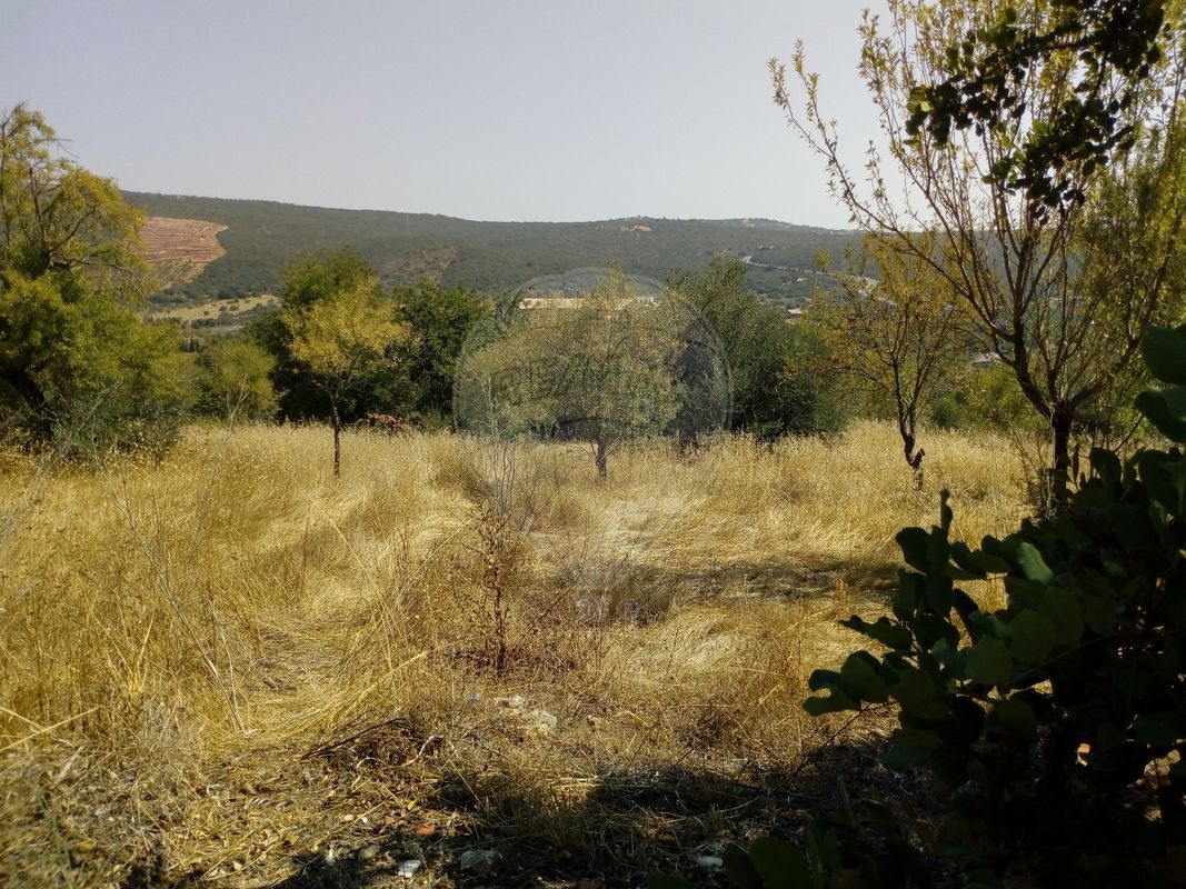 Grundstück in Loule, Portugal 259m², Nr. 41069