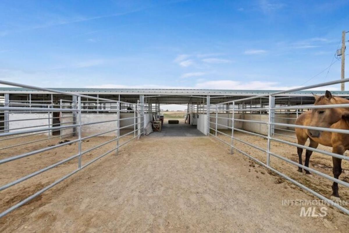 3 bedrooms House in Parma, USA No. 382241