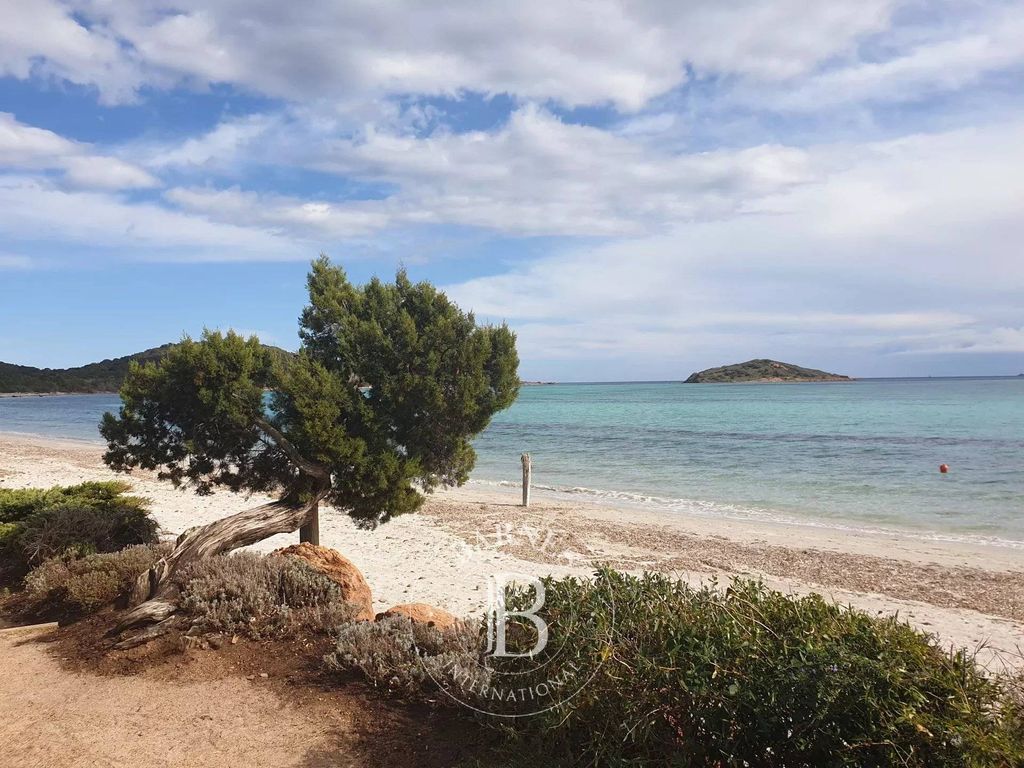 6100m² Land in Zonza, France No. 83118