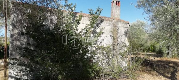 2-Zimmer Haus in Sassari, Italy, Nr. 266949 2