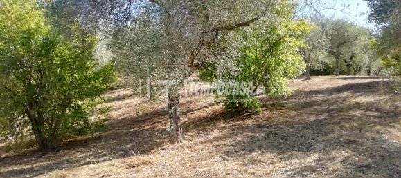 2-Zimmer Haus in Sassari, Italy, Nr. 266949 7