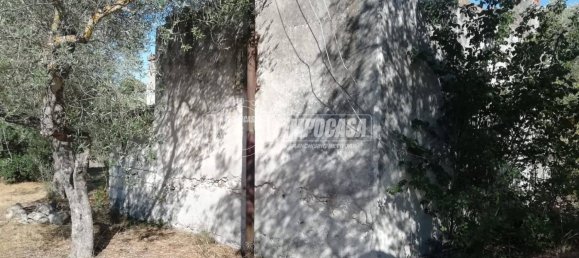 2-Zimmer Haus in Sassari, Italy, Nr. 266949 6