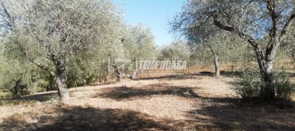 2-Zimmer Haus in Sassari, Italy, Nr. 266949 5