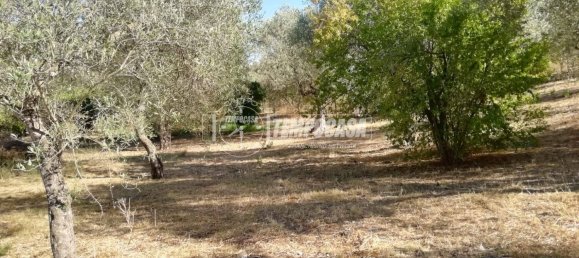 2-Zimmer Haus in Sassari, Italy, Nr. 266949 8