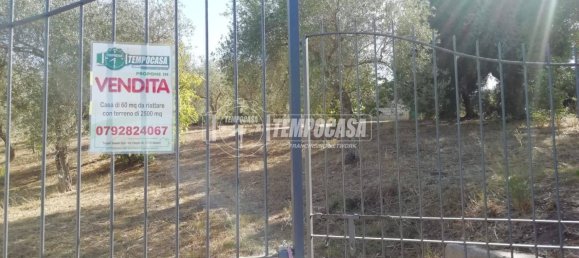 2-Zimmer Haus in Sassari, Italy, Nr. 266949 10