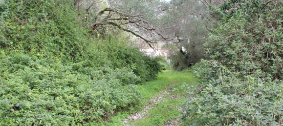 5000m² hôtel à vendre à Corfu, Central Corfu and Diapontian Islands, Corfu, Ionian Islands, Peloponnese, Western Greece and the Ionian, Greece № 8036 3