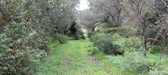 Hotel in Corfu, Greece 5000m², Nr. 8036 5