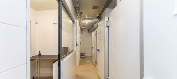 Gewerbliche Immobilie in Matosinhos, Portugal 177m², Nr. 81880 16