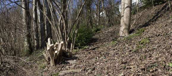 Land in Kennelbach, Austria No. 166395 7