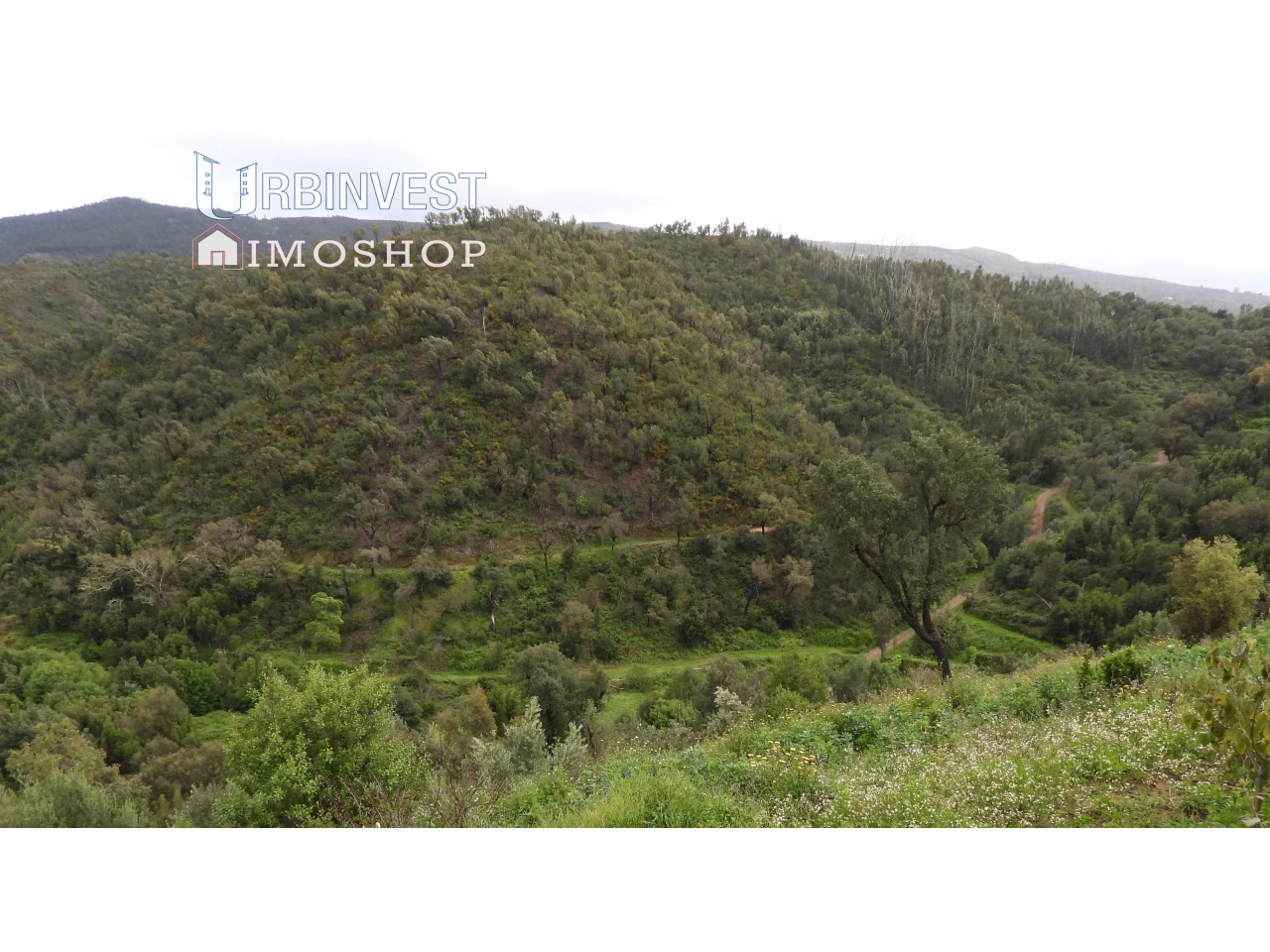  قطعة أرض في Monchique, Portugal رقم 332141