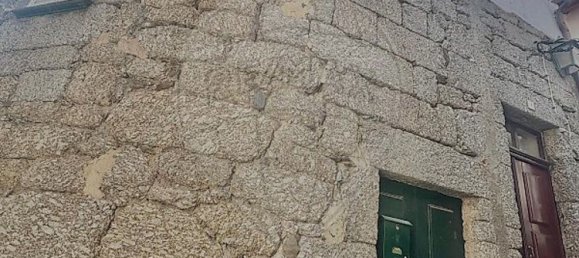 1 Schlafzimmer Haus in Sao Giao, Portugal, Nr. 39617 3