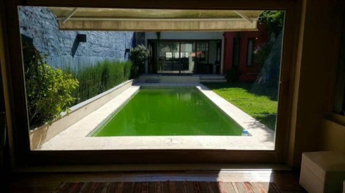 4 غرف نوم منزل في Palermo, Argentina رقم 101117