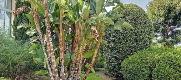 3 chambres Penthouse à Malaga, Spain No. 125097 44