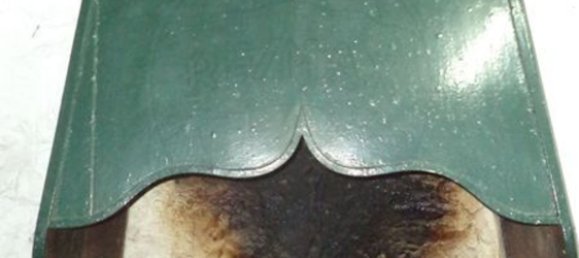 5 غرف نوم منزل في Ervedosa, Portugal رقم 42140 7