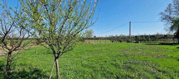 4 rooms House in Minerbio, Italy No. 37593 21